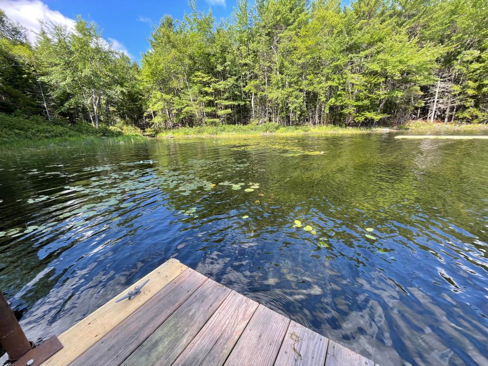 Lake in Maine