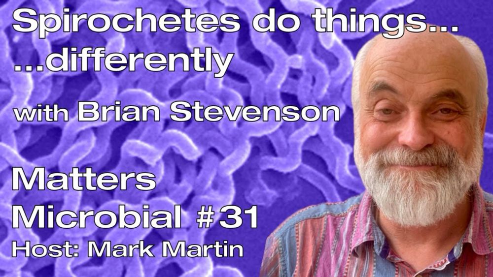 Matters Microbial #31: Spirochetes do things...differently