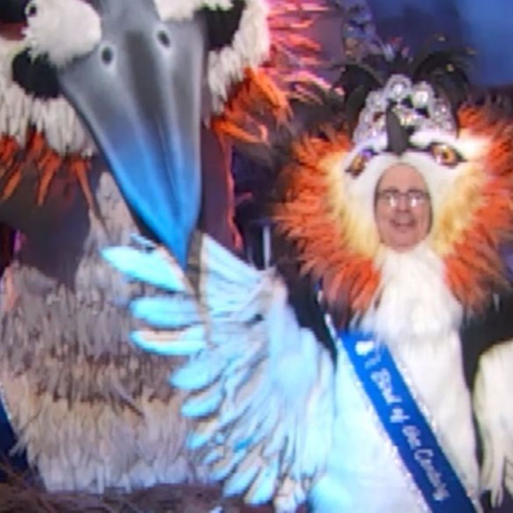 Last Week Tonight on Instagram: "To all the other birds out there: You will die in the century that ...