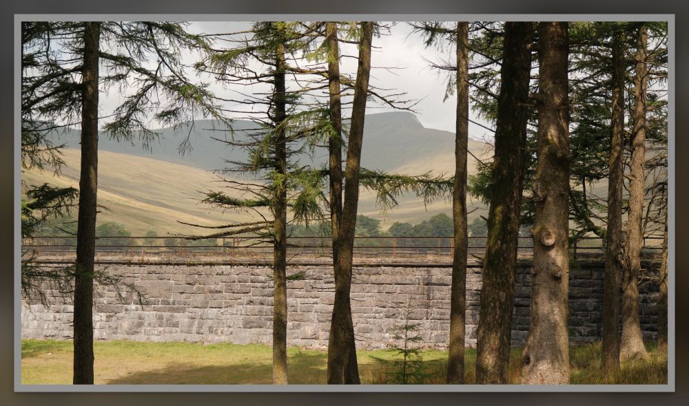 This photo shows the distinctive peak of Pen-y-fan (tallest mountain in the Brecon Beacons), peaking through a gap in a row of (I believe?) Scots Pine trees.

Just behind the trees, from left to right, runs the retaining wall of Upper Neuadd Reservoir.