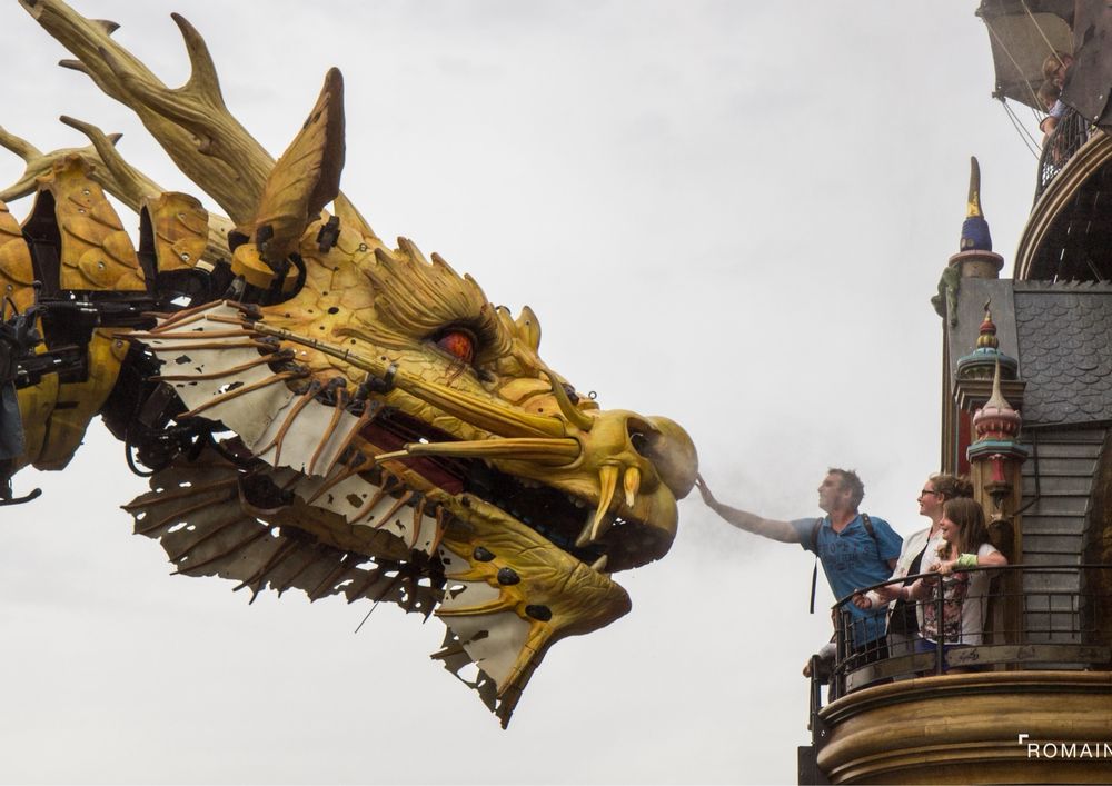 Pas tous les jours qu’on peut assister à la rencontre d’un dragon et d’un éléphant