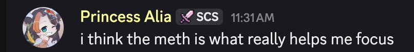 Discord message from 'Princess Alia' that says "i think the meth is what really helps me focus"
