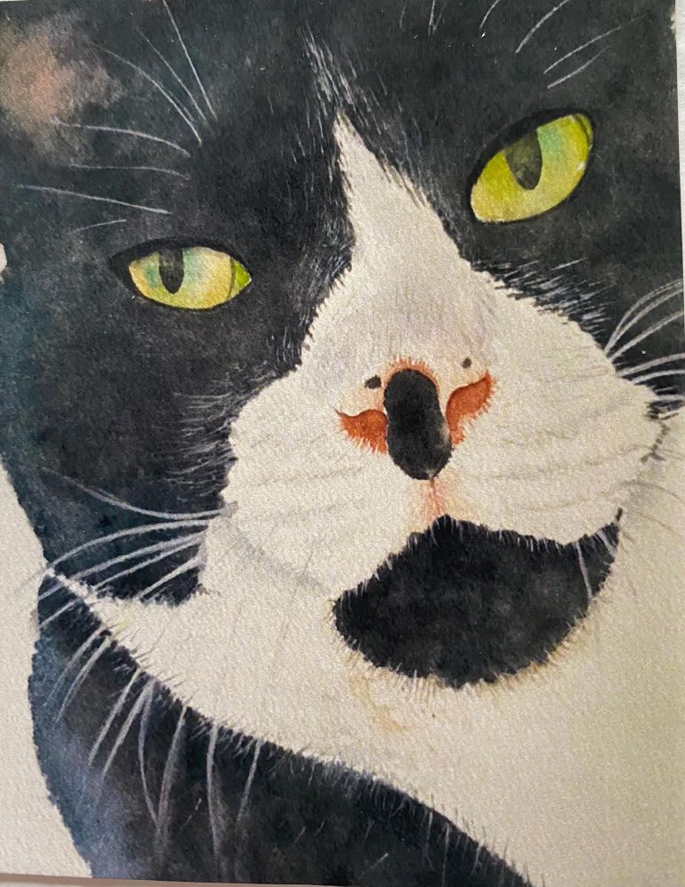 Close-up of a watercolor painting of a tuxedo cat. The cat's fur is predominantly black and white, with striking green eyes. The artist skillfully captures the cat's expression and texture of its fur using shades of black, white, and gray. The cat's nose is a soft orange-pink hue. The painting is detailed, showcasing the artist's attention to detail in the whiskers and fur.