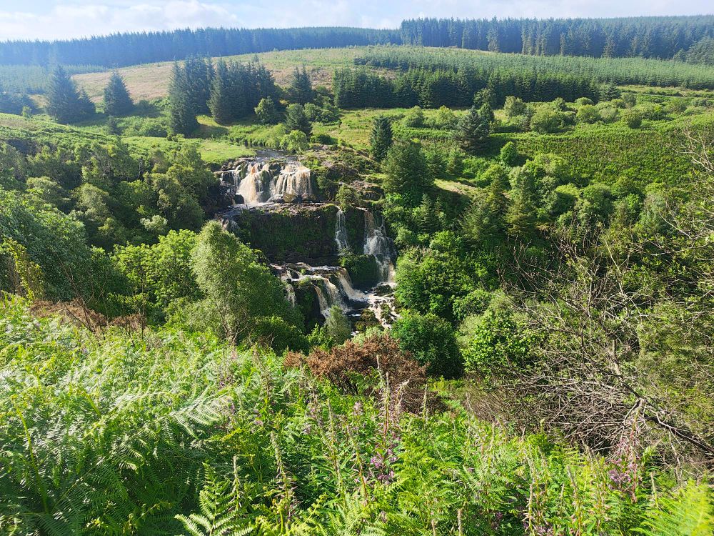 Fintry Falls, Loup Of Fintry 
