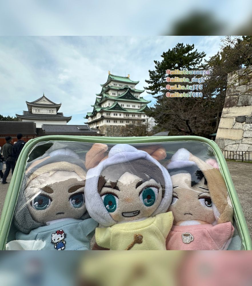 三体持っての撮影は厳しいので、どうしても巣穴越し😅