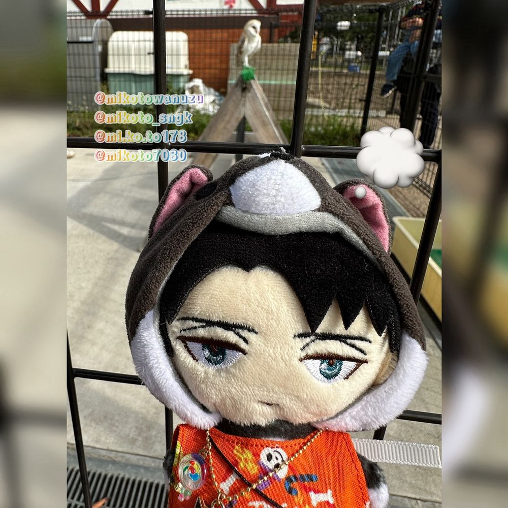 ホントに何回もこちらを見てくるので、ぬいを取られてしまうのではないかとハラハラしました😅　実際にはリードがついていたし、すぐ側には飼育員ｻﾝがいたから大丈夫なのですが😆