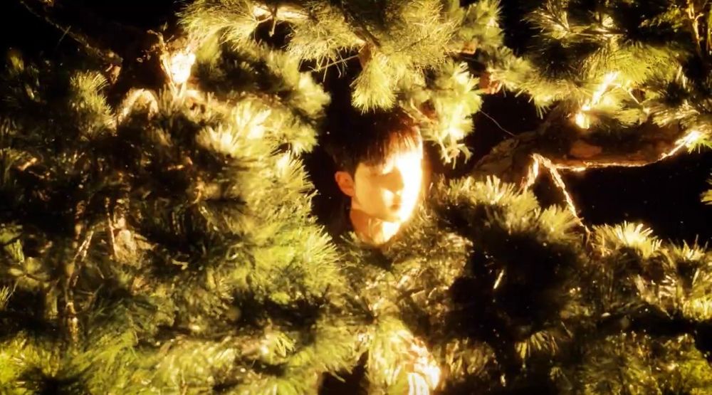 namjoon for bazaar, with a golden light shining on him as he stands between tree leaves
