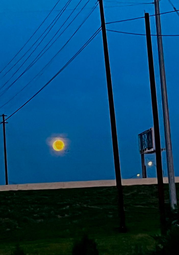 Took this a while before I got a new phone. - OldIsopod774