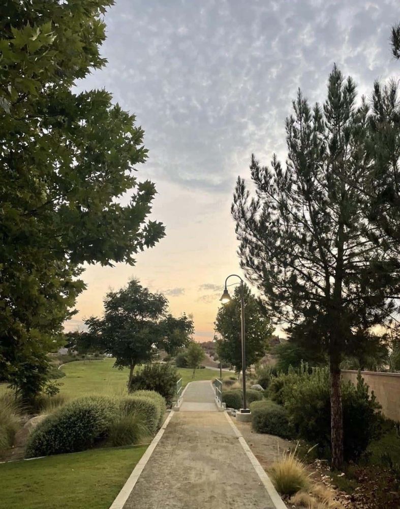 Looks like the kind of place you’d find in a dream, but forget right after waking up. - GoddessJasmineX