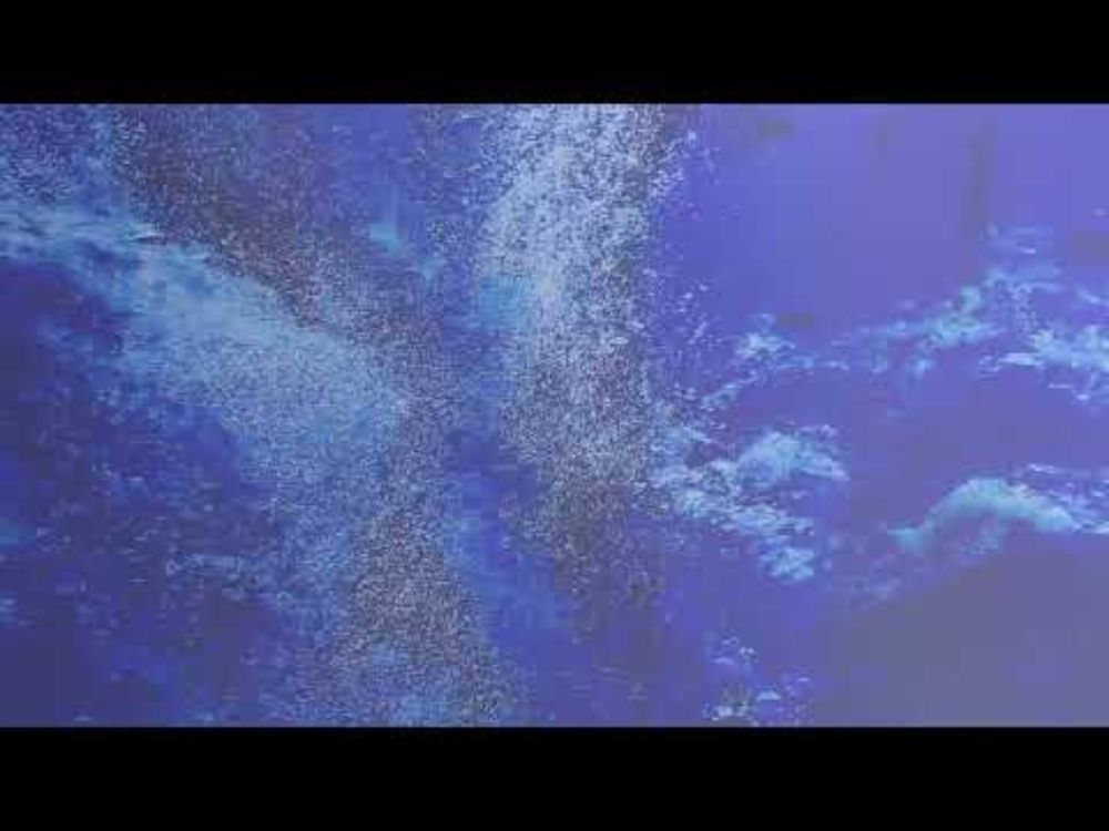 Vanity Productions - Sunblind 69 (Official Video)