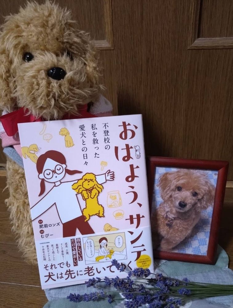 サンテ（トイプードル）のぬいぐるみ、「おはよう、サンテ」の見本、サンテの遺影