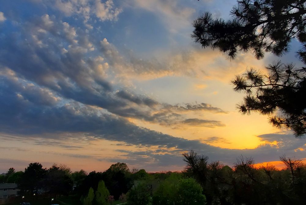Green trees and the sky with sunset colors. On the sky from the left side gray clouds are forming lines, stretching towards the middle of the photo. On the right side the sky is yellow above a line of gray clouds, and orange under the that same line of clouds. Pine tree branches or on the right side.