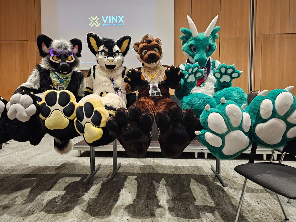 A black-and-silver colored Fox Fursuiter named Fern, a white-and-yellow-and-red Fursuiter named Koss, a brown-and-cream colored Otter Fursuiter named Blackymoon and a white-and-green Dragon Fursuiter named DC are sitting on a table. They have their legs propped up, showing off all of their massive and soft soles of their footpaws to the viewer. Blackymoon and DC also have their arms outstretched towards the viewer with open palms, showing off their handpaws. They're inside a hotel panel-room with grey carpet flooring. 