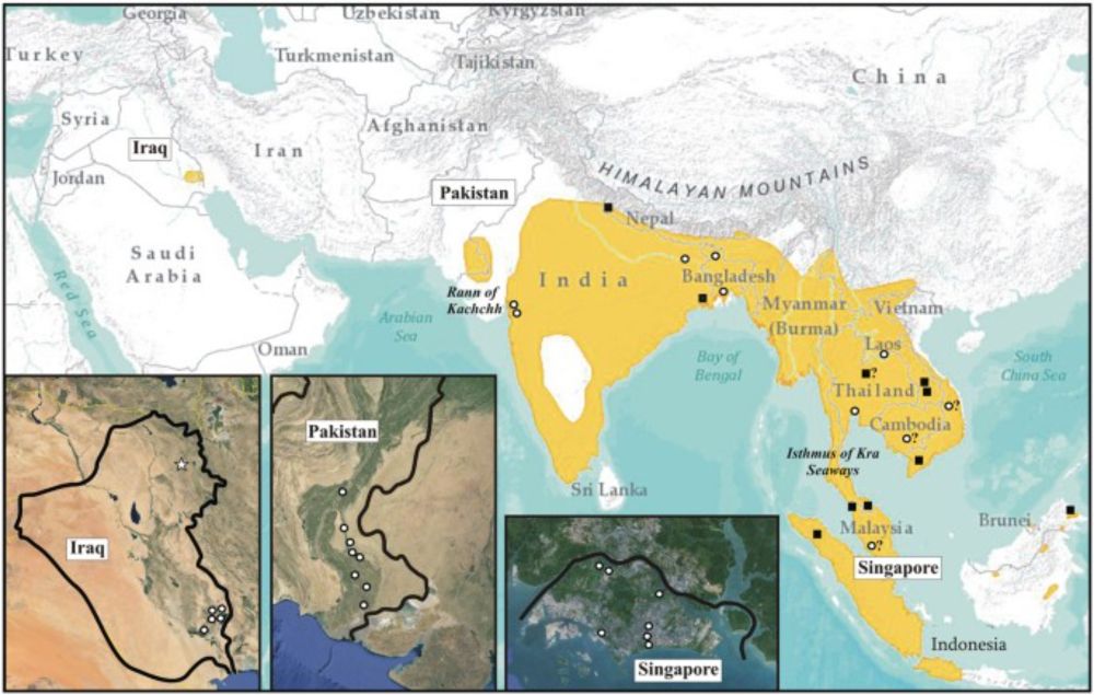 Scientific Reports - Phylogeography of the smooth-coated otter (Lutrogale perspicillata): distinct evolutionary lineages and hybridization with the Asian small-clawed otter (Aonyx cinereus)