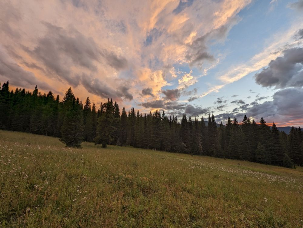 Sunset in a mountain meadow