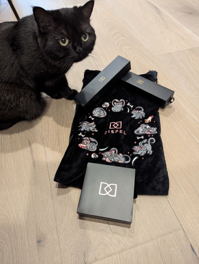 A tentacle kitten lucky bag from Dispel Dice (a black bag with 8 eldritch kittens up to kitten antics) is on the floor, with three dispel dice boxes on top of the bag. Grizzly, a black cat, is sitting on the floor next to the bag. Perplexed increased by 1000%