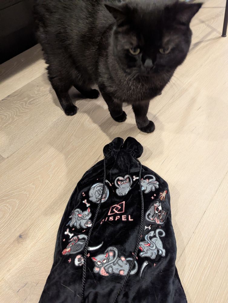 A tentacle kitten lucky bag from Dispel Dice (a black bag with 8 eldritch kittens up to kitten antics containing mysteries!) is on the floor. Grizzly, a black cat, is standing near the bag looking perplexed.