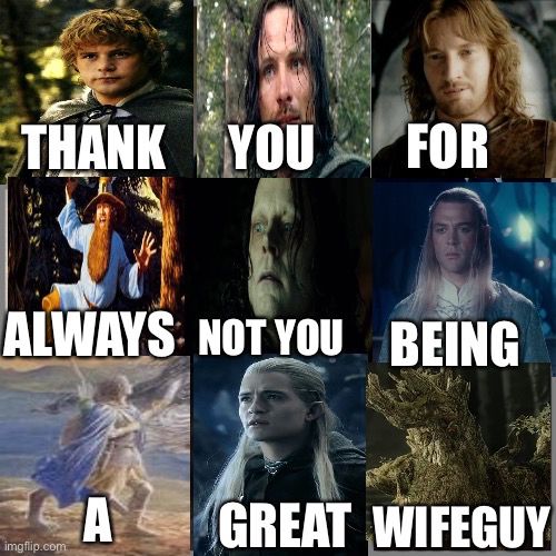 9 panel meme of tolkien figures. top has sam, aragorn, and faramir with the words “thank you for”
middle 3 has tom bombadil, grima, celeborn  and “always not you being”
last 3 has beren, legolas, treebeard with the words “a great wifeguy”