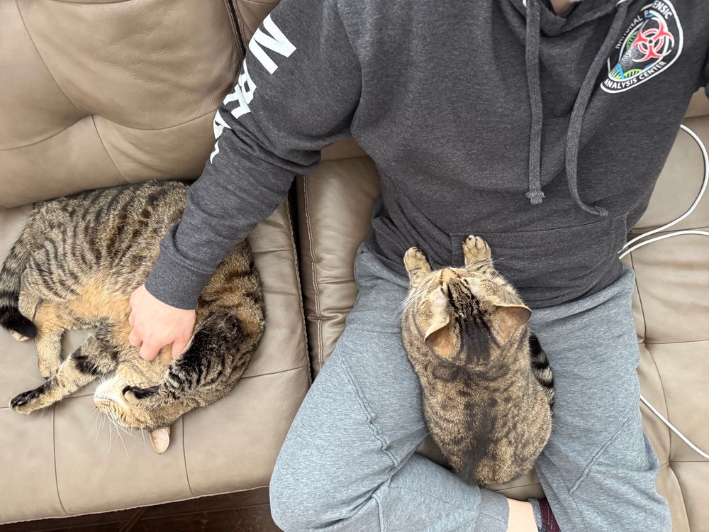 Me being cuddled by our two cats, one in my lap, the other sprawled out next to me