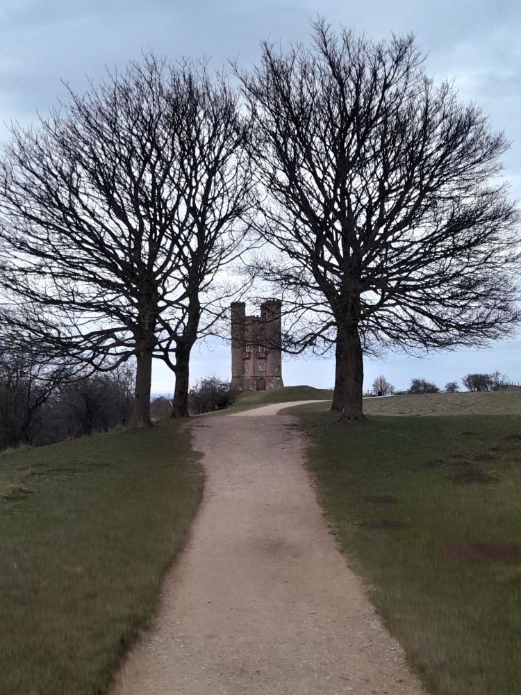 A tower between 2 trees