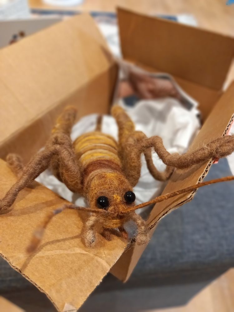 A felt wētā climbing out of the box