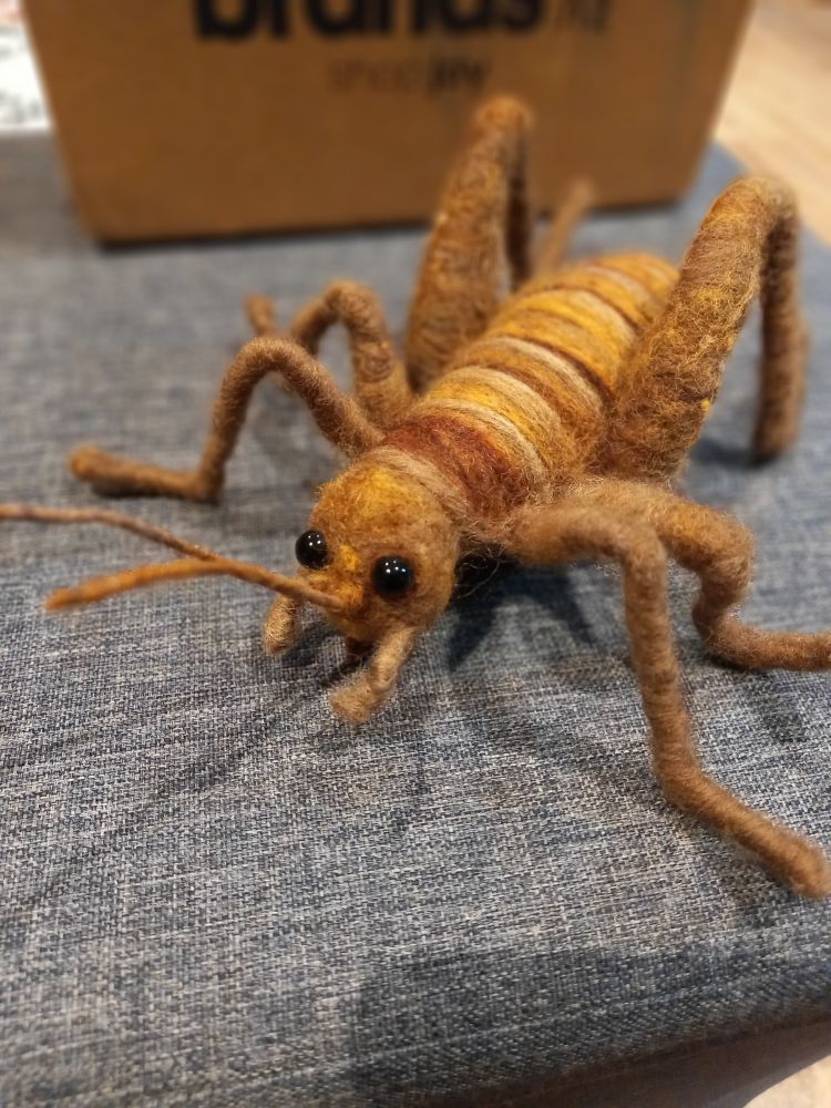 A large felt wētā- it's a beautiful brown colour and has lovely long antennae