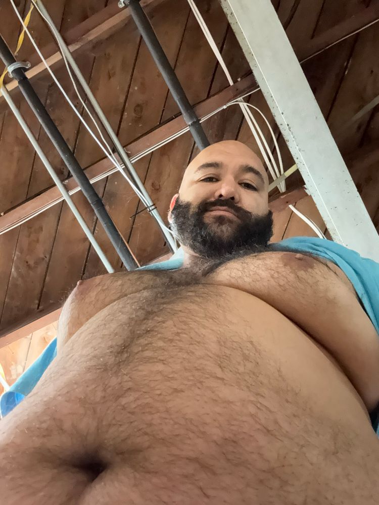 My big hairy belly and tits