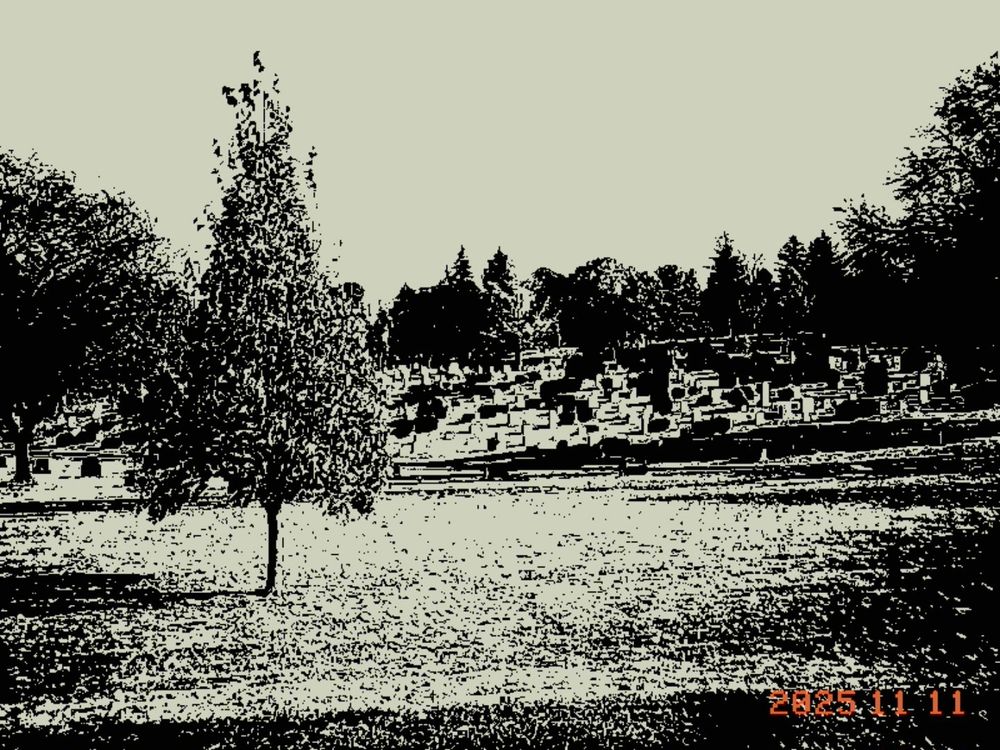 Kodak Charmera monochrome image of a grassy field with gravestones on the slope beyond