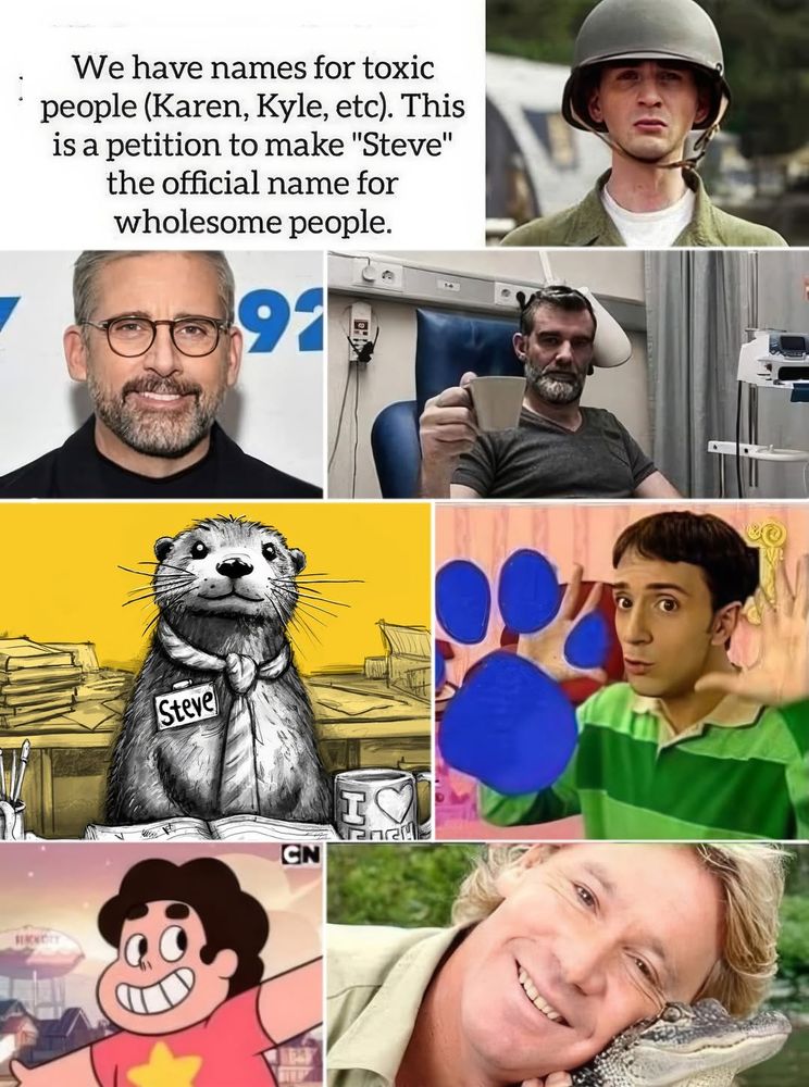 Pictures of various celebrities and fictional characters named Steve (who are all wholesome), with the caption "We have names for toxic people (Karen, Kyle, etc). This is a petitions to make "Steve" the official name for wholesome people."