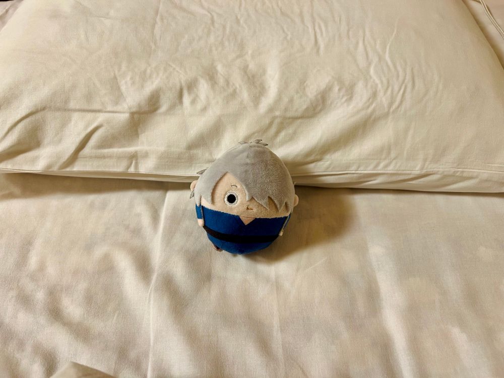 一度横になった布団で撮影するのは感心しないのじゃ