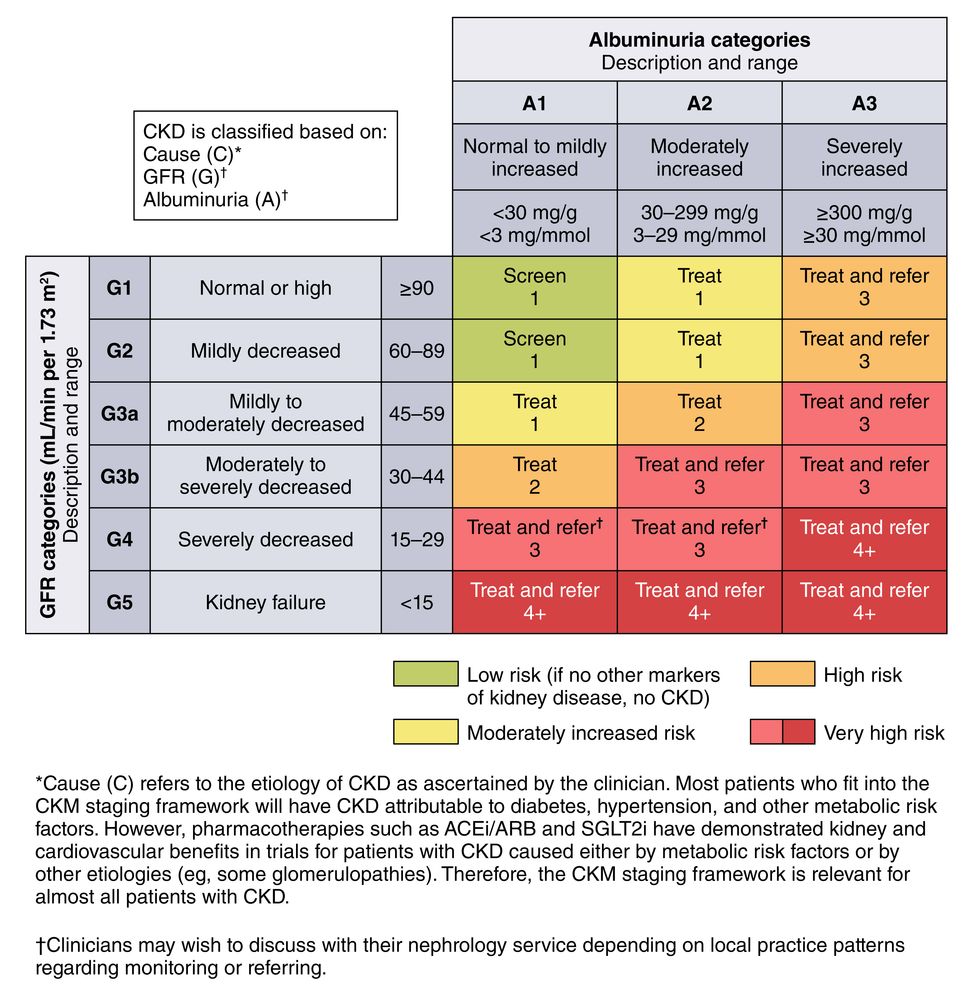 KDIGO heat map for CKD classification.