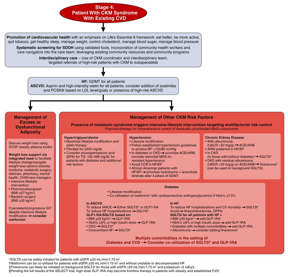  Algorithm for managing patients with CKM syndrome Stage 4 