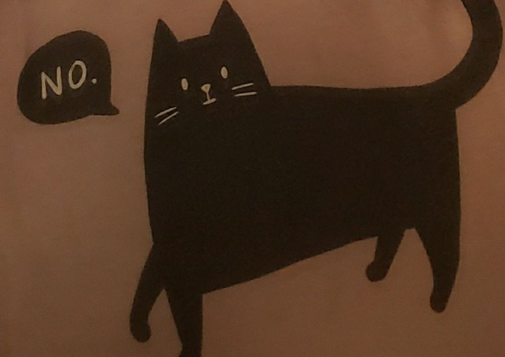 pink shirt with a black cat saying "no."
