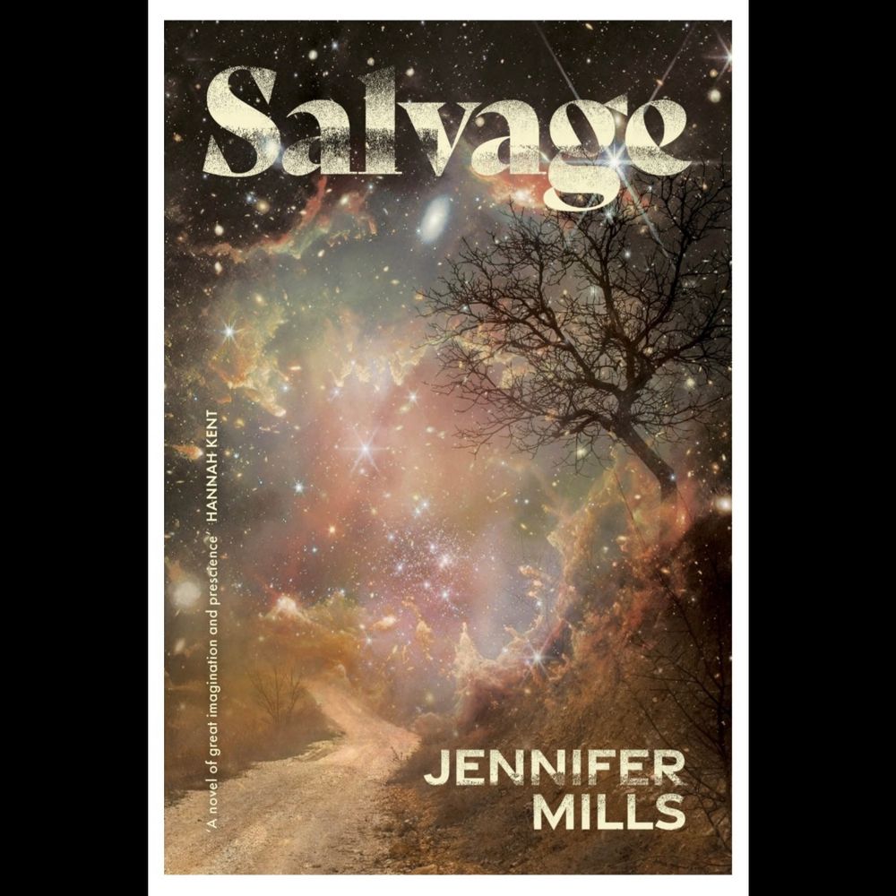 Cover of Salvage: a starry sky overlays a dirt road