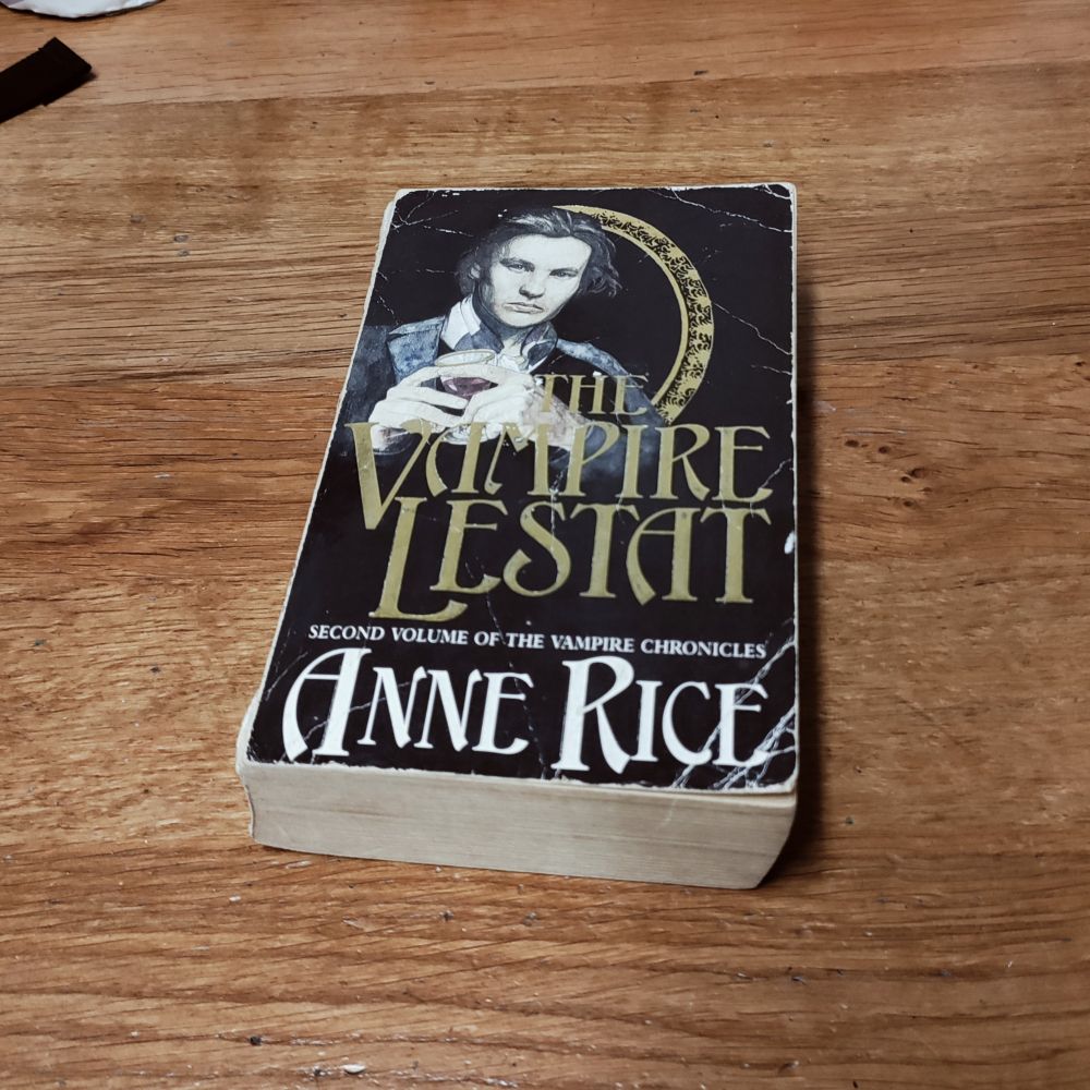 A copy of 'The Vampire Lestat' by Anne Rice sat on a skanky ass work table I had to crop a bunch of paint tins out of. 
