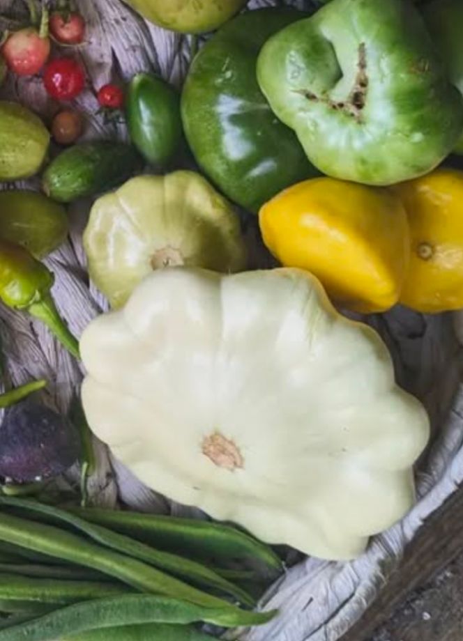 a photograph of summer squash, green beans and green tomatoes.