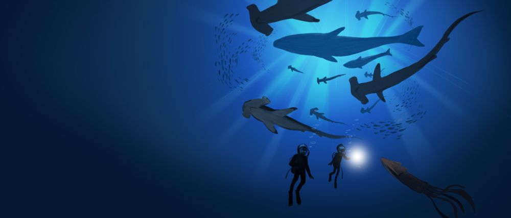 Scuba divers under circling sharks and whales from Mysteries of the ocean by Magic Cat