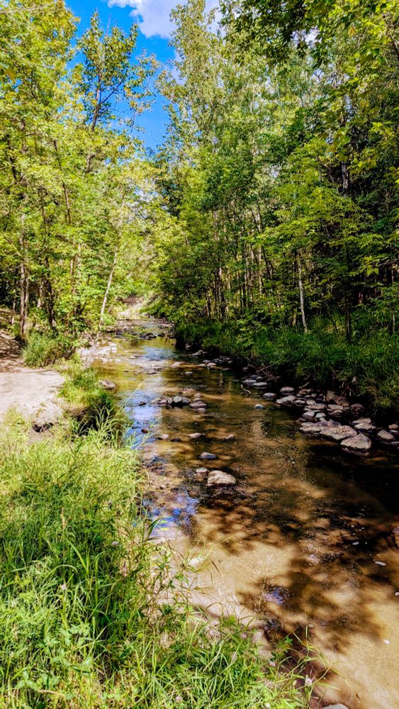 Mill Creek 