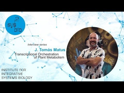 Interview of Tomás Matus, PI of the Transcriptional Orchestration of plant metabolism group