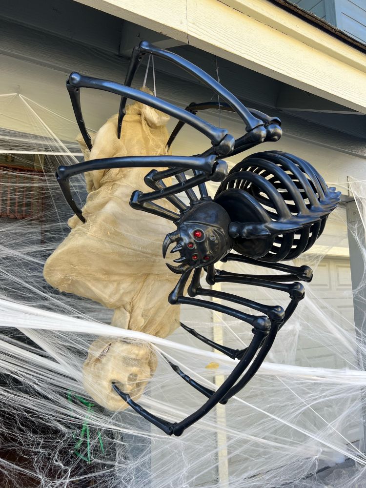 A photo of a Halloween decoration of a large black spider (similar to a black widow but made of black bones) with a mummified looking human torso and head wrapped in fake spider webs