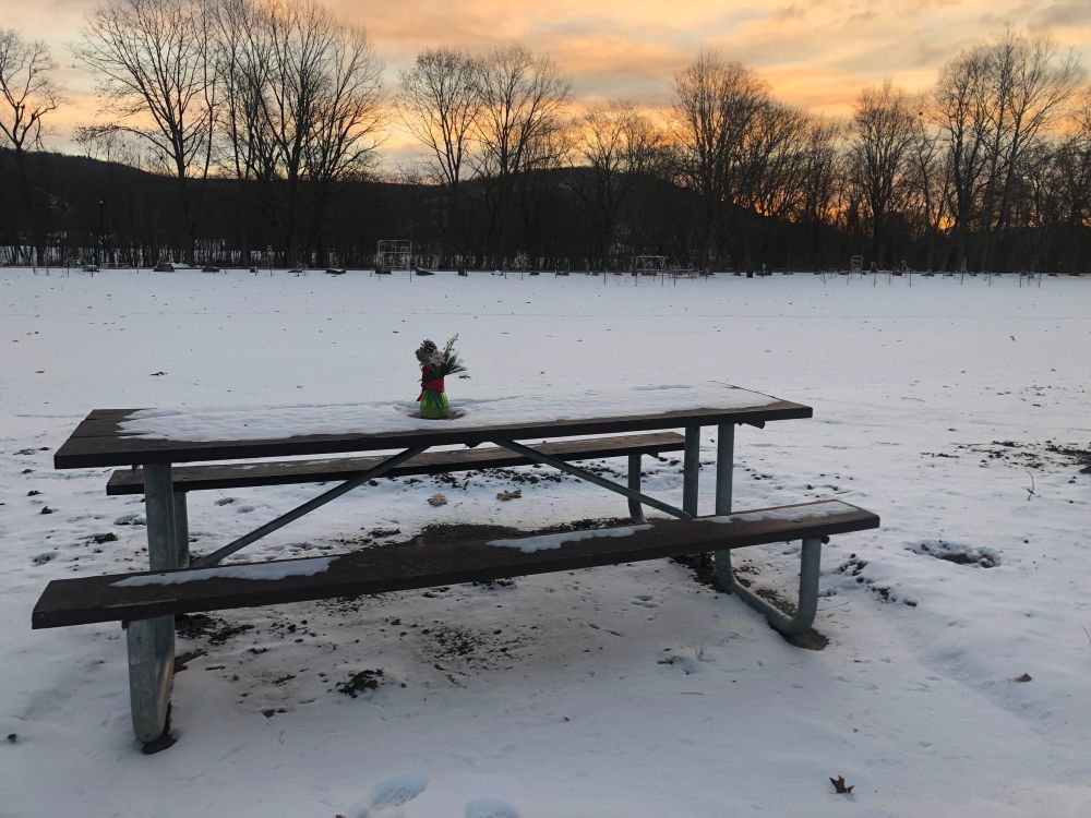 Vase with flowers on park picnic table in snow