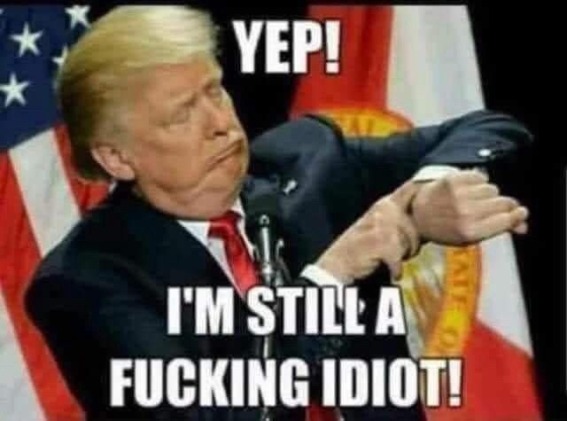 the Idiot looking at his watch