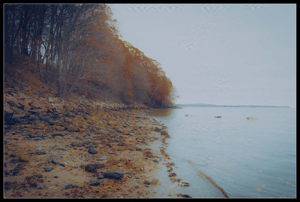 A landscape photo of the Atlantic Ocean meeting up with Mackworth Island in Casco Bay, north of Portland, Maine. The autumn leaves fall on the shore and are swept away by the tides.