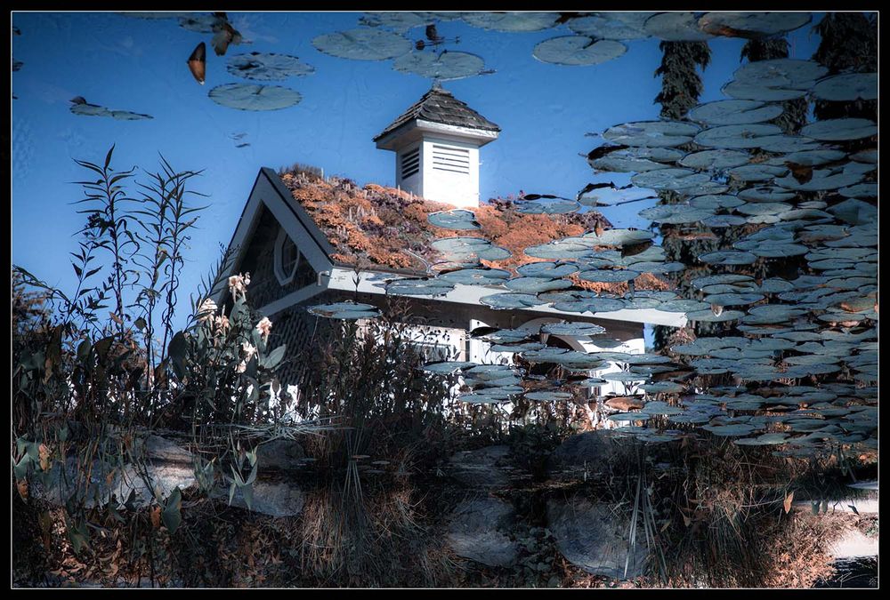 Reflection photo of a garden shed in a water lily, lilypad pond. Accompanied by a poem by

called A Reflection On Reflection 

Mirror, Mirror, on the wall,
May I ask you to be true?
Can these plated images of me
Unveil, though slightly,
The deep, unending,
Mystery of You?

I´ve searched for meaning near and far
And found no answer straight
Or forward, back or front,
Inside or out, upside or down.
The masks that you have shown till now
Are Wise or Good or Judge or King,
Powerful, Aeternal, Suffering, Saviour,
Etc., etc., etc., etc.
Dare I take off once more
The mask you wear?
Shall I be turned into a frog
For merely even daring?

Let´s start the reasoning
Practically, mathematically.
What do I know,
Mirror, Mirror, on the wall?
That I was made in your own image.
What is it that I see
And know of me?
E pur si muove.
That I, like Earth,
Am always on the move,
Never the same today
As I was yesterday
Or as tomorrow will I be.

I´ve built a house, I´ve made a home
I´ve had a wife, created life,
I´ve fed my hates, I´ve made mistakes
I´ve killed, said yes to wars.
I´m writing, I´m working.
I´m resting, I´ll travel,
I´ll love, I´ll hurt.

Mirror, Mirror, on the wall
Is this the answer,
So simple, so, so easy?
Are You, like me,
Perpetually in the doing,
In the making of Thyself?
(See how respectfully
I do approach Thee)
Have I for once, just had
A passing glimpse of what
You possibly could be?
Could it be that, Mirror,
You are eternally creating
All Yourself and we, are we
Just simply images of You,
Like in the famous Plato´s cave?
But could it also be
(Now shall I really turn
Into a nasty, horrid toad?)
That all reflections of myself
And those of men, my friends,
Are You, Mirror, Mirror, on the wall,
And also in the making?

Cut off for being too long. 
https://www.poemhunter.com/poem/a-reflection-on-reflection/