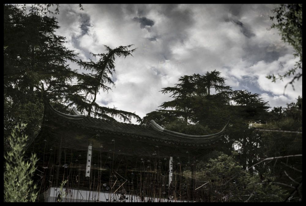Water reflection photo taken of a tea house at the Huntington library and botanical gardens Chinese garden in San Marino California. 