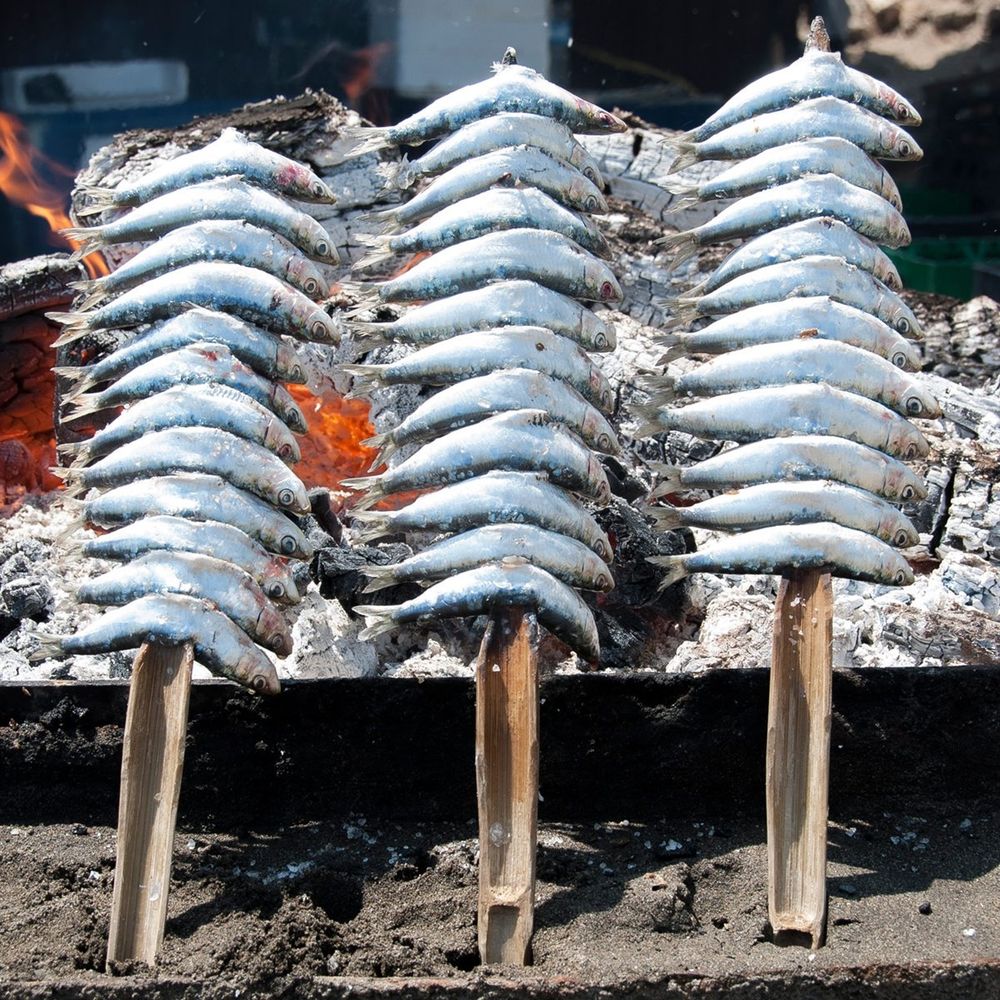 Tres espetos de sardinas en caña. Como debe ser