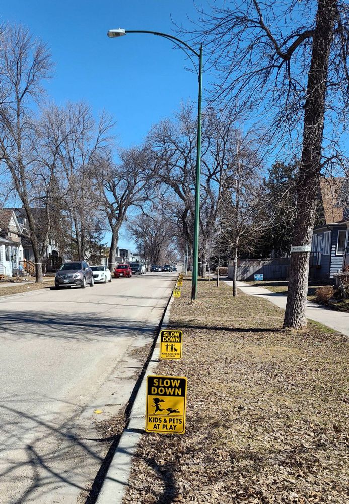 A stretch of yellow signs on the boulevard close to the roadway. The signs read "please slow down - kids & pets at play". There were many more of these signs behind me! 