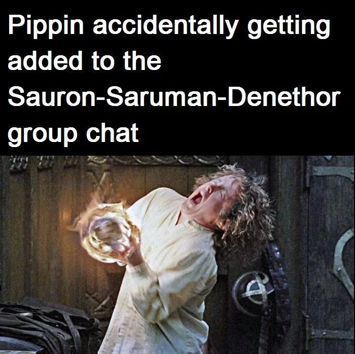 This meme humorously references a scene from The Lord of the Rings, depicting Pippin's overwhelmed reaction after handling the palantír, framing it as if he accidentally joined a group chat with the villains—Sauron, Saruman, and Denethor