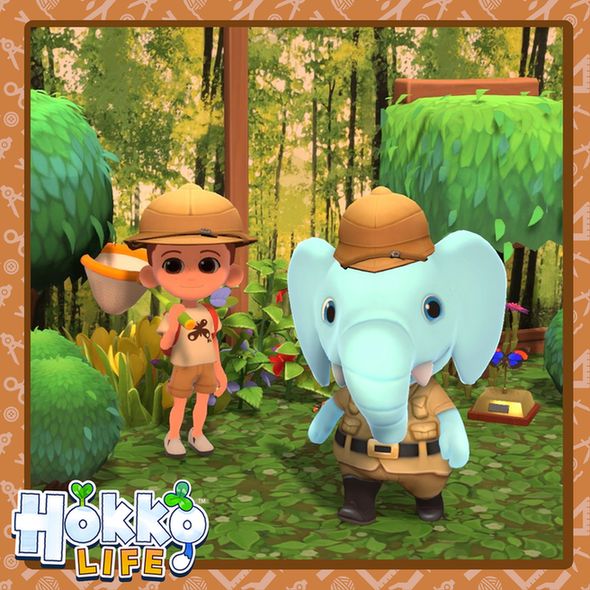 A screenshot from the game Hokko Life. A player is dressed up in a bug catching outfit, with a safari hat, top with a butterfly design and khaki shorts. They are holding a butterfly net. To the right is the villager Timothy the elephant wearing similar clothing. The characters are stood next to some trees and flowers with a rainforest wallpaper and flooring also shown.
