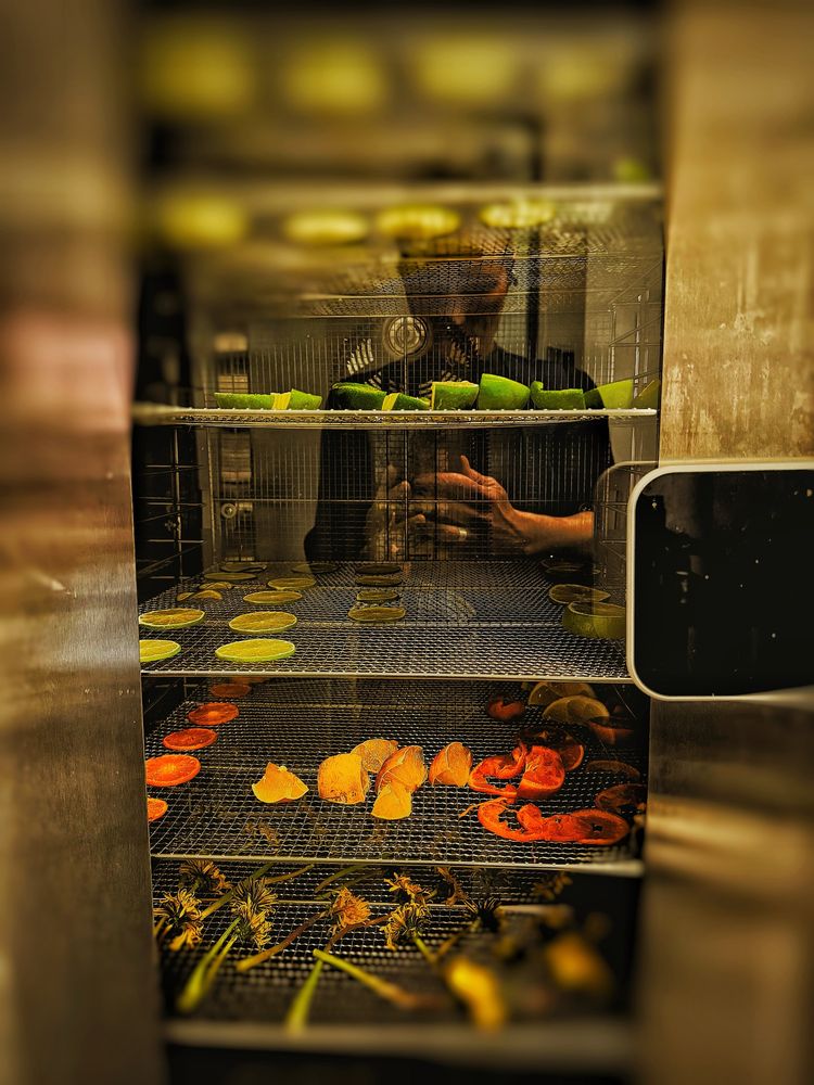 Dehydrating plants and fruits in Jarrow. 